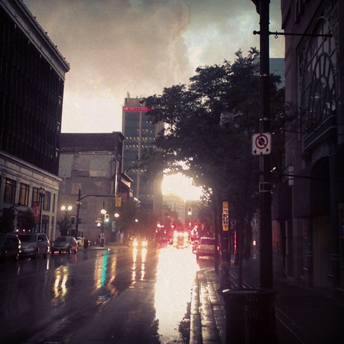 hamilton storm bright lights