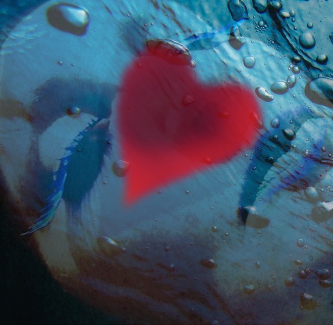 Blue seasonal no text